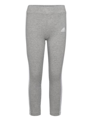 Lk 3S Tight Sport Leggings Grey Adidas Sportswear