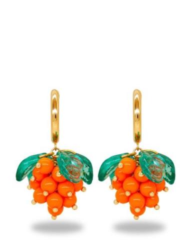 Cloudberry Cute Earrings Designers Jewellery Earrings Hoops Gold ANNEL...