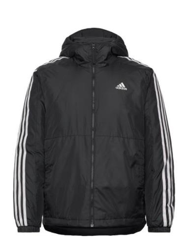 Adidas Essentials 3S Insulated Hooded Jacket Sport Men Sport Clothing ...