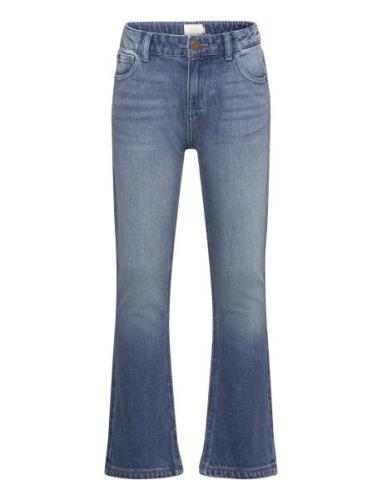 Jeans Flare Bottoms Jeans Bootcut Jeans Blue Creamie