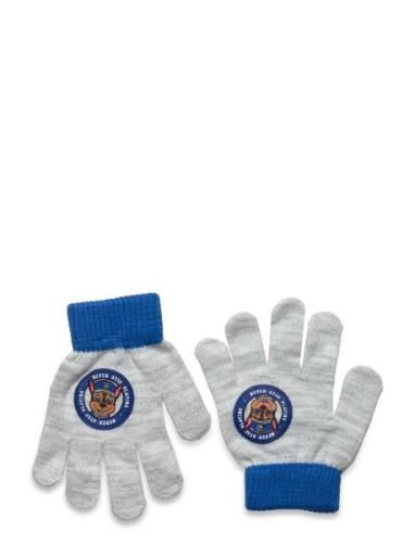 Glovers Accessories Gloves Finger Gloves Grey Paw Patrol