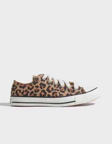 Converse - Mønstret - Chuck Taylor All Star Leopard