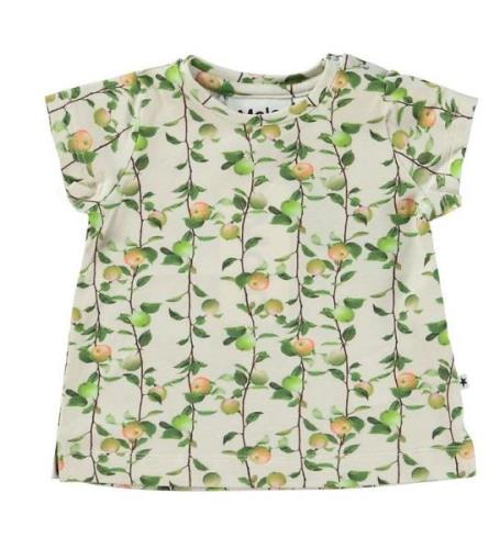 Molo T-shirt - Elly - Apples Mini