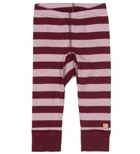 Katvig Leggings - Bordeaux/Rosa