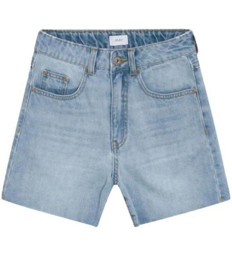 Grunt Shorts - 90s - Globe Blue