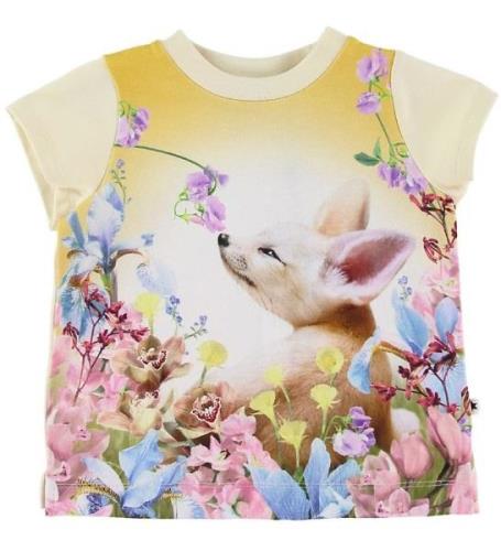 Molo T-shirt - Elly - Fennec Baby