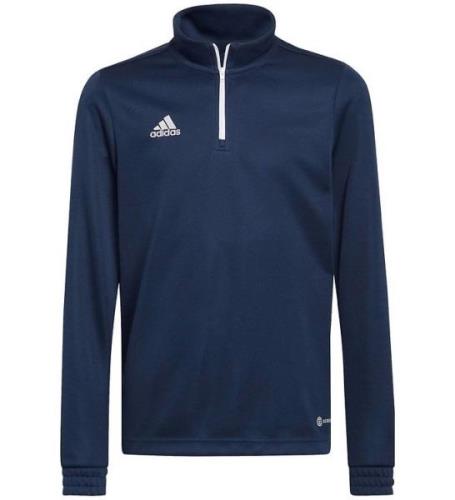 adidas Performance Bluse - Entrada 22 - Team Navy Blue 2