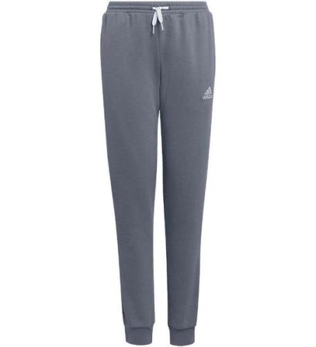 adidas Performance Sweatpants - Entrada 22 - Team Grey Four