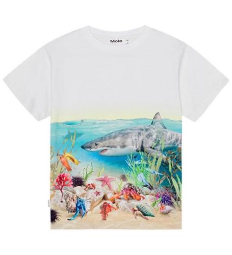 Molo T-shirt - Raveno - Shore Sharks